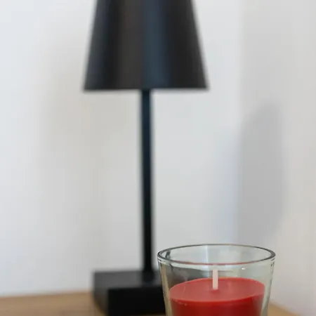 Marin Apartment *